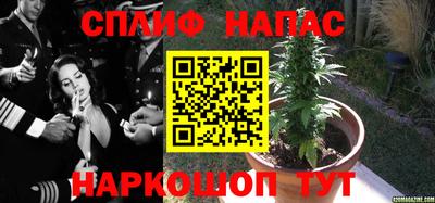 тгк Ставрополь