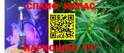 тгк Ставрополь