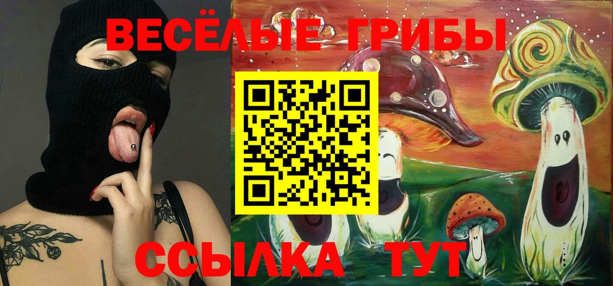 Галлюциногенные грибы мицелий Мелеуз